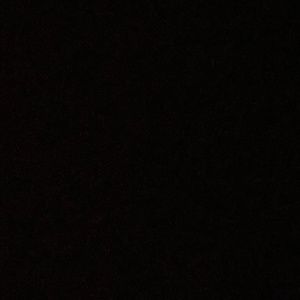 Meet your Posher, Carola